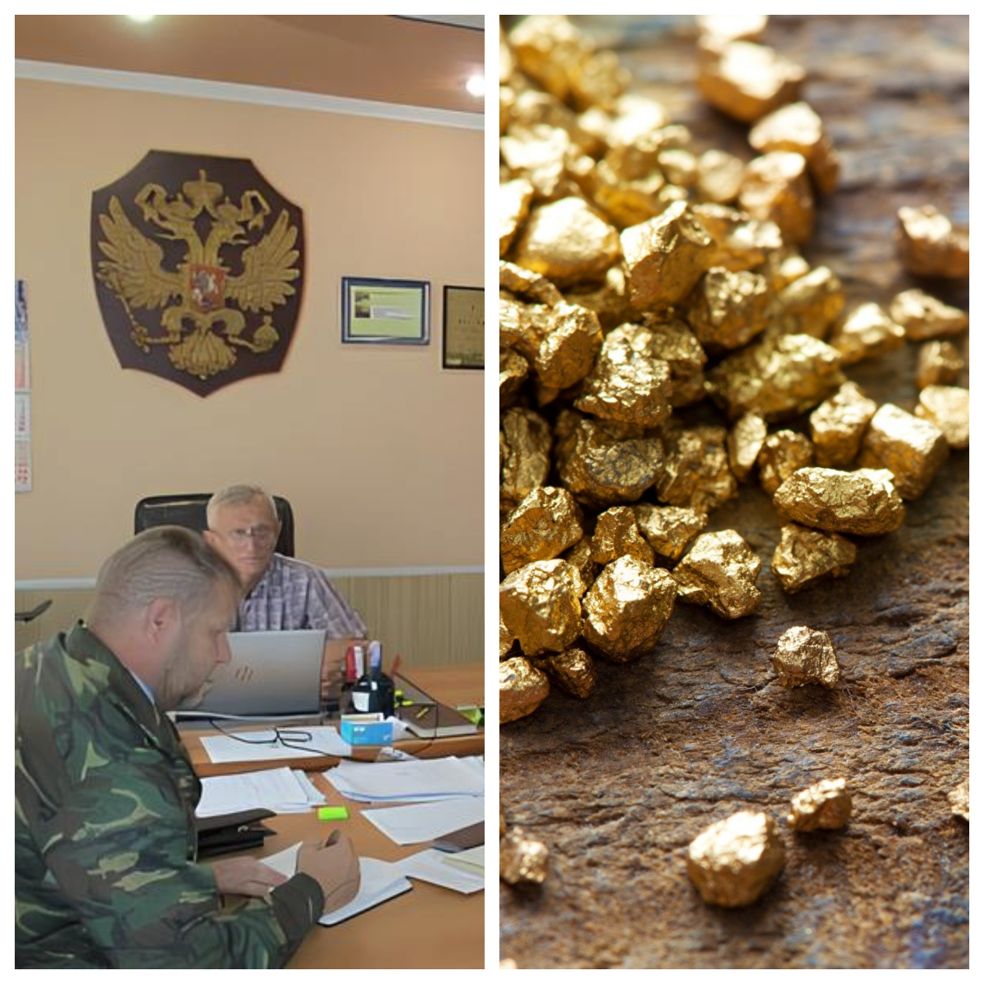 Росприроднадзор провел профилактический визит в отношении ООО «Миасское геологическое предприятие»