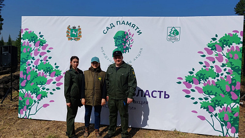 Сотрудники Сибирского управления Росприроднадзора приняли участие в международной акции «Сад памяти»