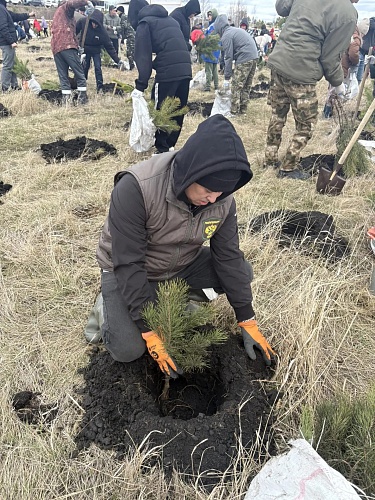 Сотрудники Южно-Уральского межрегионального управления Росприроднадзора приняли участие в экологической акции «Чистый Талкас»