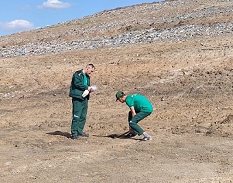 Инспекторы Росприроднадзора в рамках федерального проекта «Чистая страна» провели выездное обследование свалки в г. Ростов-на-Дону