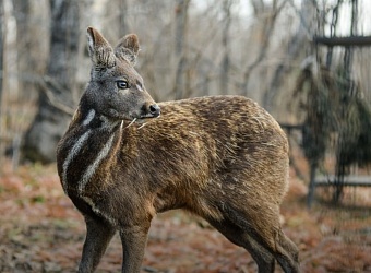 Сотрудники таможни и Росприроднадзора пресекли крупное нарушение законодательства