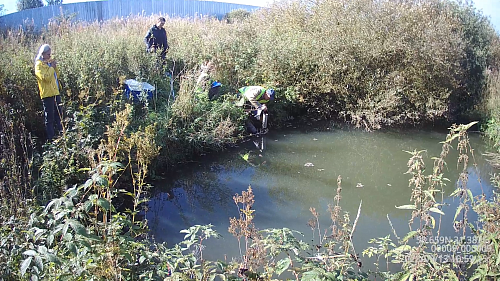 Судами двух инстанций требования СЗМУ Росприроднадзора о возмещении вреда, причиненного водному объекту, признаны законными