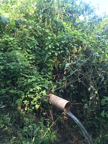 Суд поддержал иск Росприроднадзора и обязал ЖКХ Гаврилов-Ямского муниципального округа возместить ущерб почвам на сумму свыше 4,9 млн рублей 