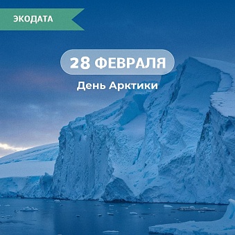 28 февраля – День Арктики
