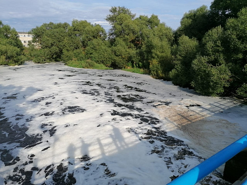 Росприроднадзор выясняет причину появления белой пены на реке Ижора