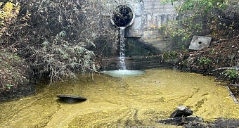 Росприроднадзор проверяет информацию о загрязнении реки Обь в Новосибирске