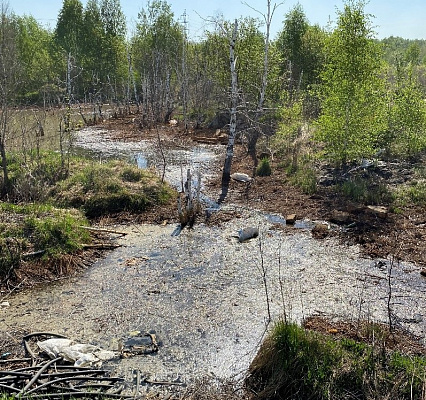 В Челябинске инспекторы Росприроднадзора выявили загрязнение почвы на месте снегосвалки