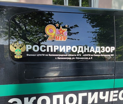 Специалисты ЦЛАТИ по Калининградской области приняли участие в подготовке к празднованию Дня Победы