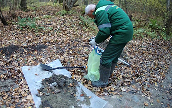 В Калининградской области сотрудники СЗМУ Росприроднадзора выявили незаконную свалку строительных отходов