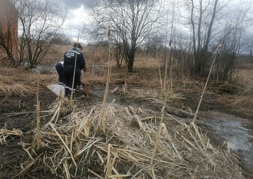 Сотрудники Службы проверили информацию о сбросе сточных вод на рельеф местности в посёлке Сусанино