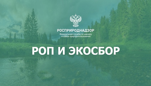 О расширенной ответственности природопользователей в 2025 году