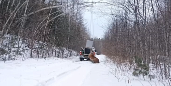 В Хабаровском крае под контролем сотрудников Росприроднадзора самца амурского тигра выпустили на свободу в глухом участке тайги