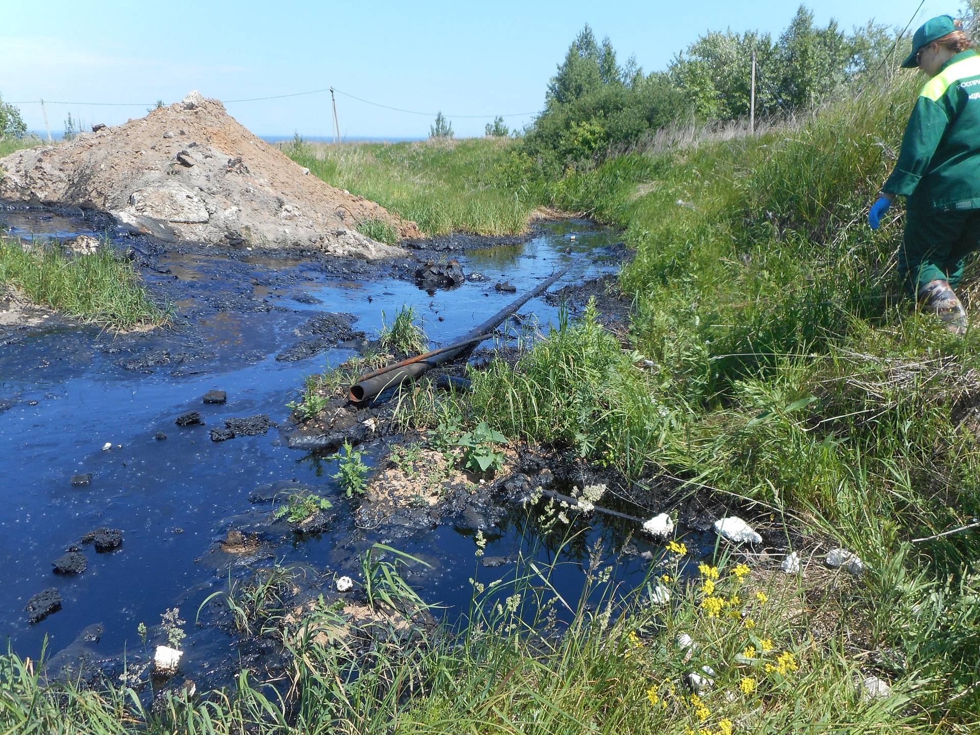 Инспекторами Волжско-Камского межрегионального управления Росприроднадзора было проведено выездное обследование территории в районе пгт. Камское Устье