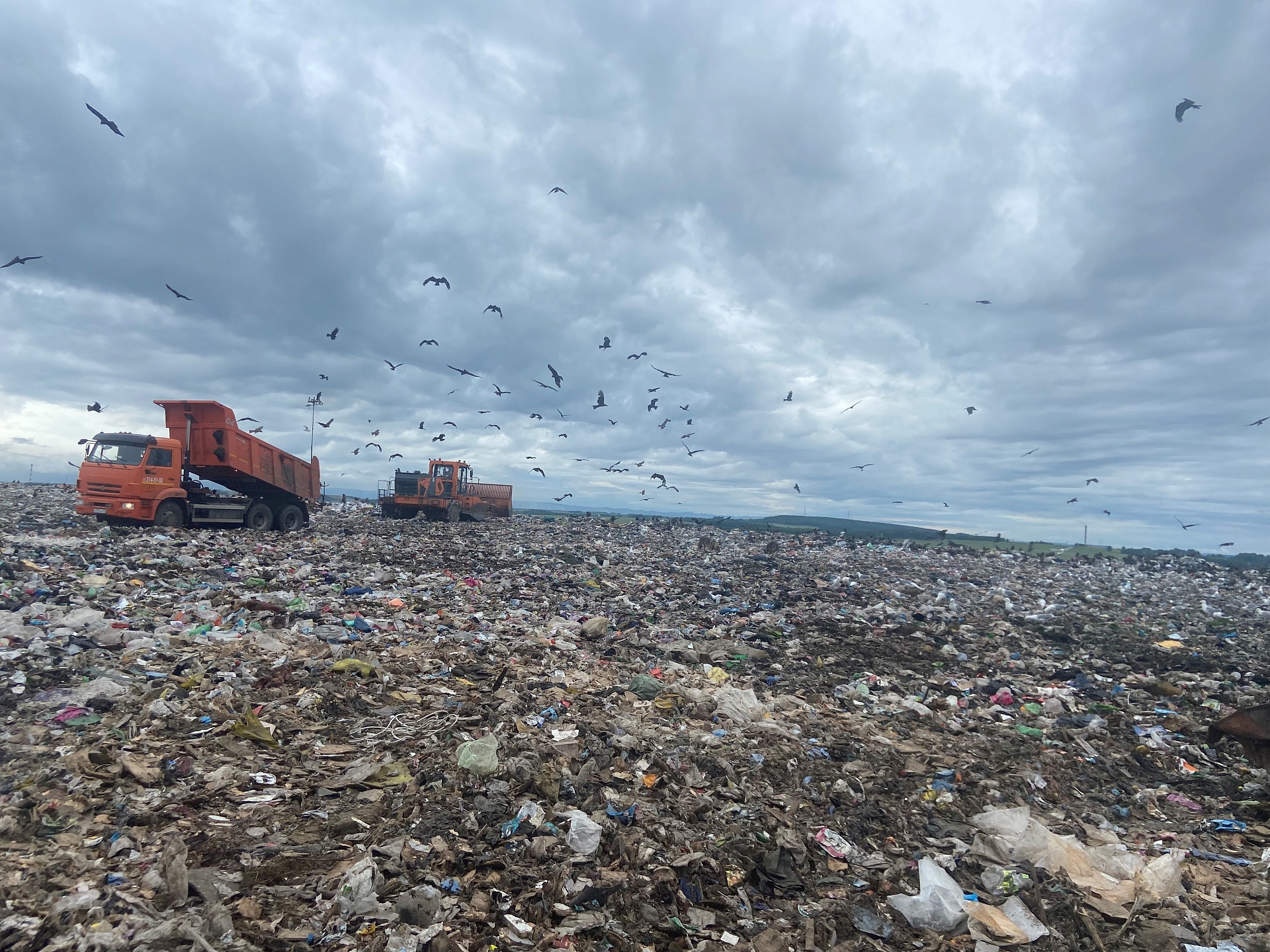 В Красноярске суд обязал АО «Автоспецбаза» возместить вред, причиненный почве