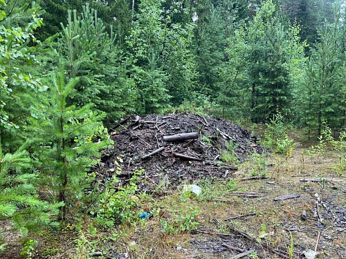 Уральское управление Росприроднадзора продолжает работу в рамках федерального проекта «Генеральная уборка»