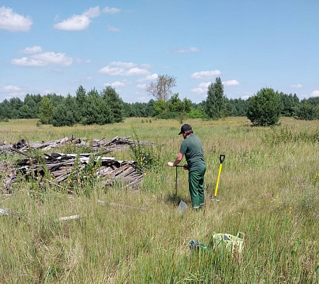 Росприроднадзор требует с администрации Мичуринского района Тамбовской области более 834,6 тыс руб. за вред, причиненный почвам
