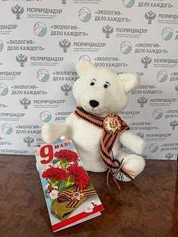 Камчатские дети приняли участие в акции «Игрушка ветерану»