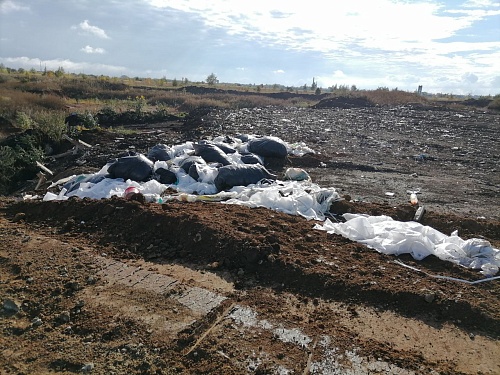 Cуд поддержал исковые требования Росприроднадзора о взыскании  более 43 млн. рублей в счет возмещения вреда, причиненного почве