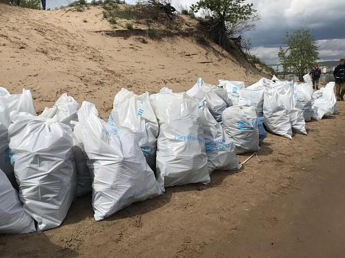 В День Волги сотрудники Росприроднадзора очистили от мусора остров Казачий