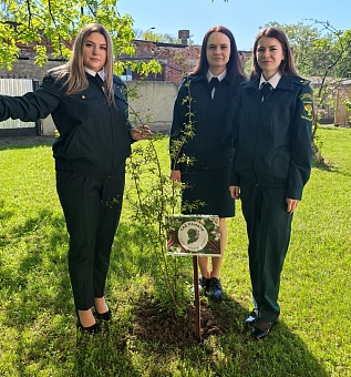 В Майкопе появился Сад памяти в честь героев Великой Победы